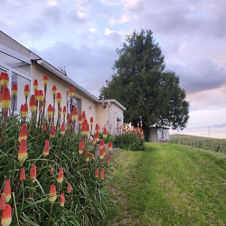 L'Echappee Bulles Apartman Épernay Kültér fotó