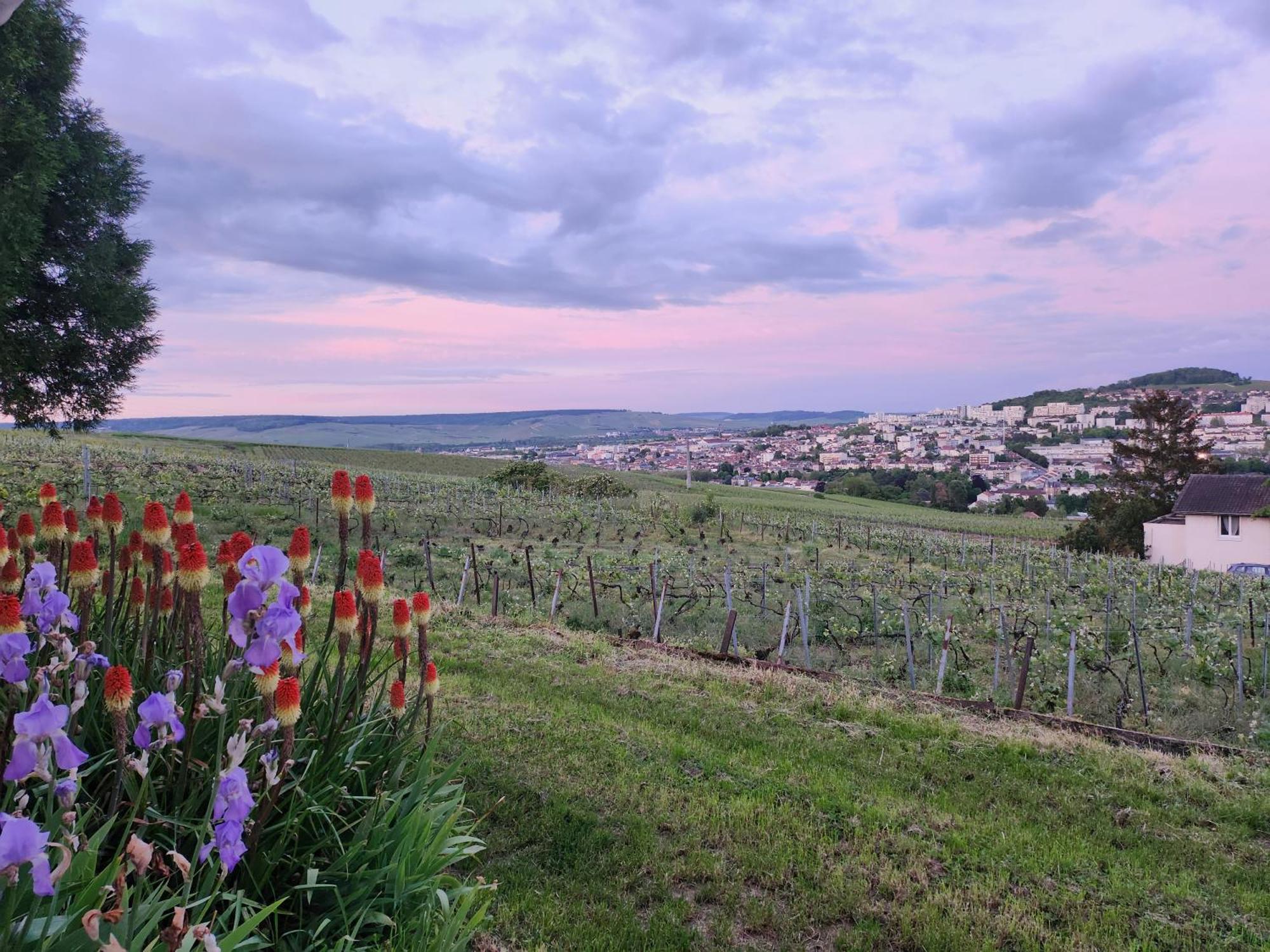 L'Echappee Bulles Apartman Épernay Kültér fotó
